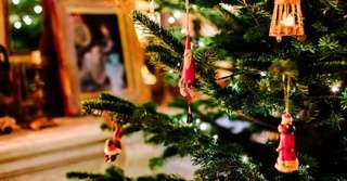 Christmas tree 2024 header blog cosh